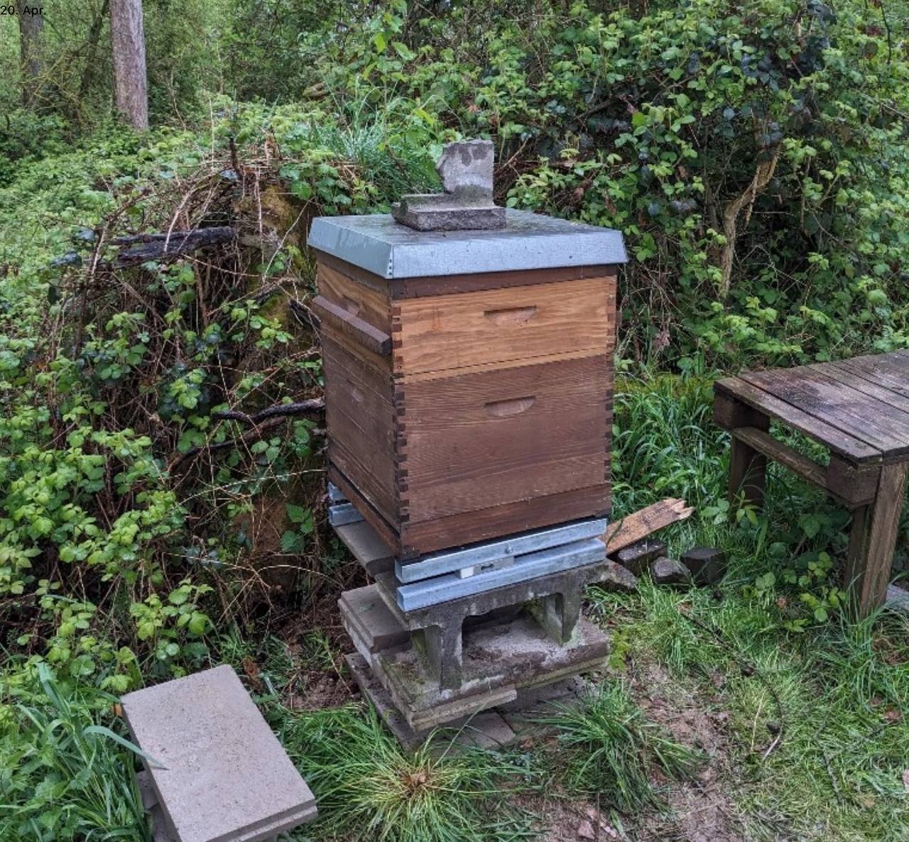 bienen_beute.jpg
